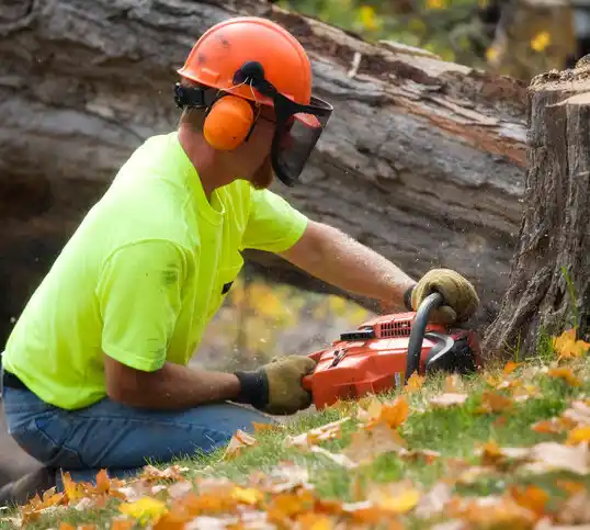 tree services Hubbell